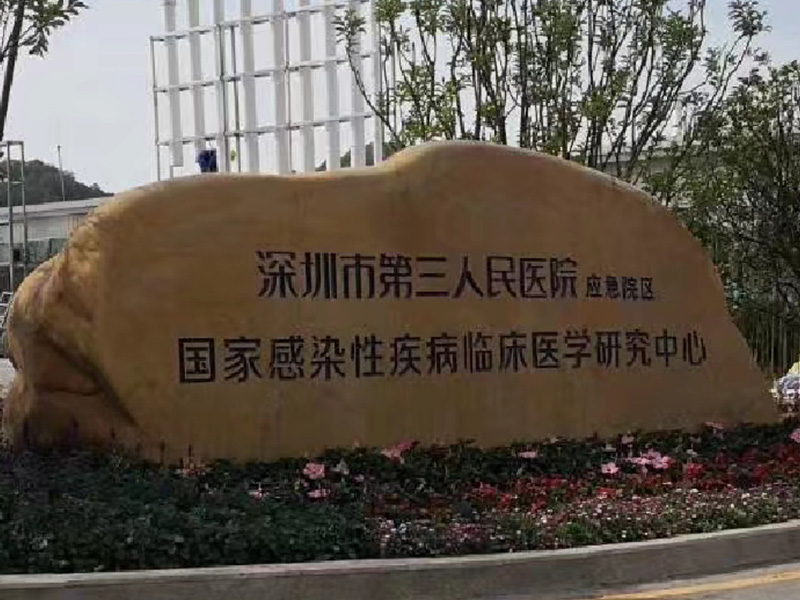 深圳市第三人民医院项目